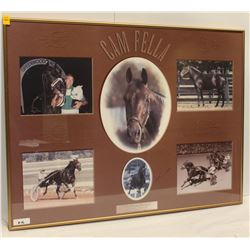 "CAM FELLA" THE PACING MACHINE 1982/83 HORSE OF