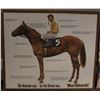 Image 1 : 54"X46.5" WOOD FRAMED NORTHLANDS SPORT BIOLOGY