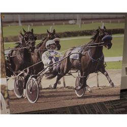53"X 42" CARRIAGE RACER UNFRAMED