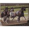 Image 1 : 53"X 42" CARRIAGE RACER UNFRAMED