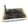 Image 1 : BUS TRAY WITH ASSORTED PLASTIC AND STEEL TONGS