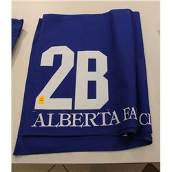 NUMBERED HORSE BLANKET: #2B