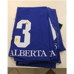 GROUP OF 4 NUMBERED HORSE BLANKET: #3