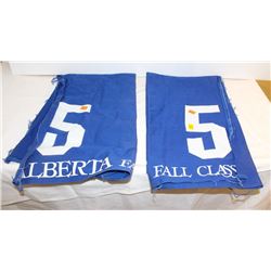 GROUP OF 2 NUMBERED HORSE BLANKET: #5