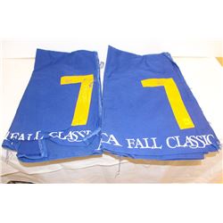 GROUP OF 2 NUMBERED HORSE BLANKET: #7