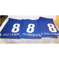 GROUP OF 3 NUMBERED HORSE BLANKET: #8