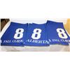 Image 1 : GROUP OF 3 NUMBERED HORSE BLANKET: #8