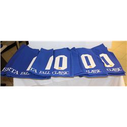 GROUP OF 4 NUMBERED HORSE BLANKET: #10