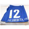 Image 1 : NUMBERED HORSE BLANKET: #12