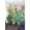 Image 1 : 4 ARTIFICIAL PLANTS