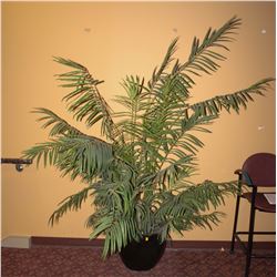 5 FOOT ARTIFICIAL TROPICAL PLANT IN CERAMIC POT