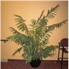 Image 1 : 5 FOOT ARTIFICIAL TROPICAL PLANT IN CERAMIC POT