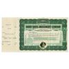 Image 1 : Harry Davis Amusement Co., 1907 Specimen Stock Certificate
