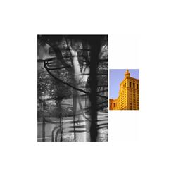 Max Yawney, Clear Bottle Longevity, C-Print Photograph