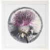 Image 1 : Bruce Martin Scott, Bullthistle, Lithograph