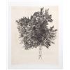 Image 2 : Aubrey Schwartz, Thistle and Tree, Lot of 2 Etchings