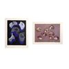 Image 1 : Benita Sanders, Blue Echoes and Shell Shapes, Lot of 2 Etchings
