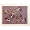 Image 3 : Benita Sanders, Blue Echoes and Shell Shapes, Lot of 2 Etchings