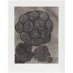 Terry Winters, Album 6, Aquatint Etching