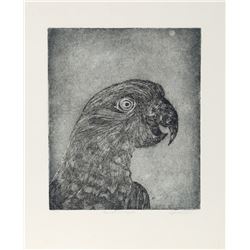 Sylvia Roth, Parrot at Night, Etching
