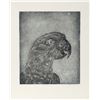 Image 1 : Sylvia Roth, Parrot at Night, Etching