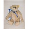 Image 1 : Steiff Bear 12 in.