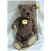 Image 1 : Classic Teddy Bar 32 Steiff 12 1/2 in.