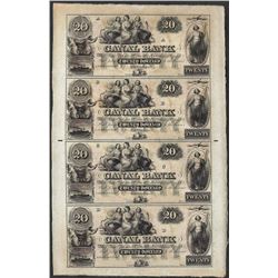 Uncut Sheet of 1800's $20 Canal Bank Obsolete Notes