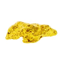 13.7 Gram Gold Nugget