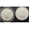 Image 1 : 1993 & 1995 AMERICAN SILVER EAGLES