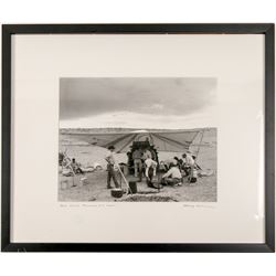 Chow Time Photo by Harvey Caplin  (89165)