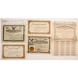 Goldfield, NV Stocks (5)  (90574)