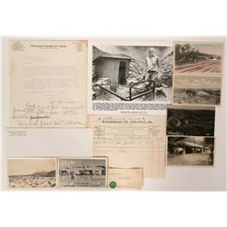 Southern California Desert Ephemera  (90988)