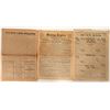 Image 1 : Nevada Historical Newspapers (3)  (100034)