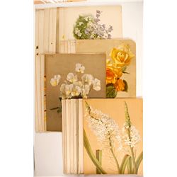 Early Color Flower Prints  (89321)