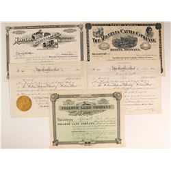 Montana Non-Mining Stock Collection  (77063)