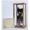 Image 2 : Black Kachina in glass  (87815)