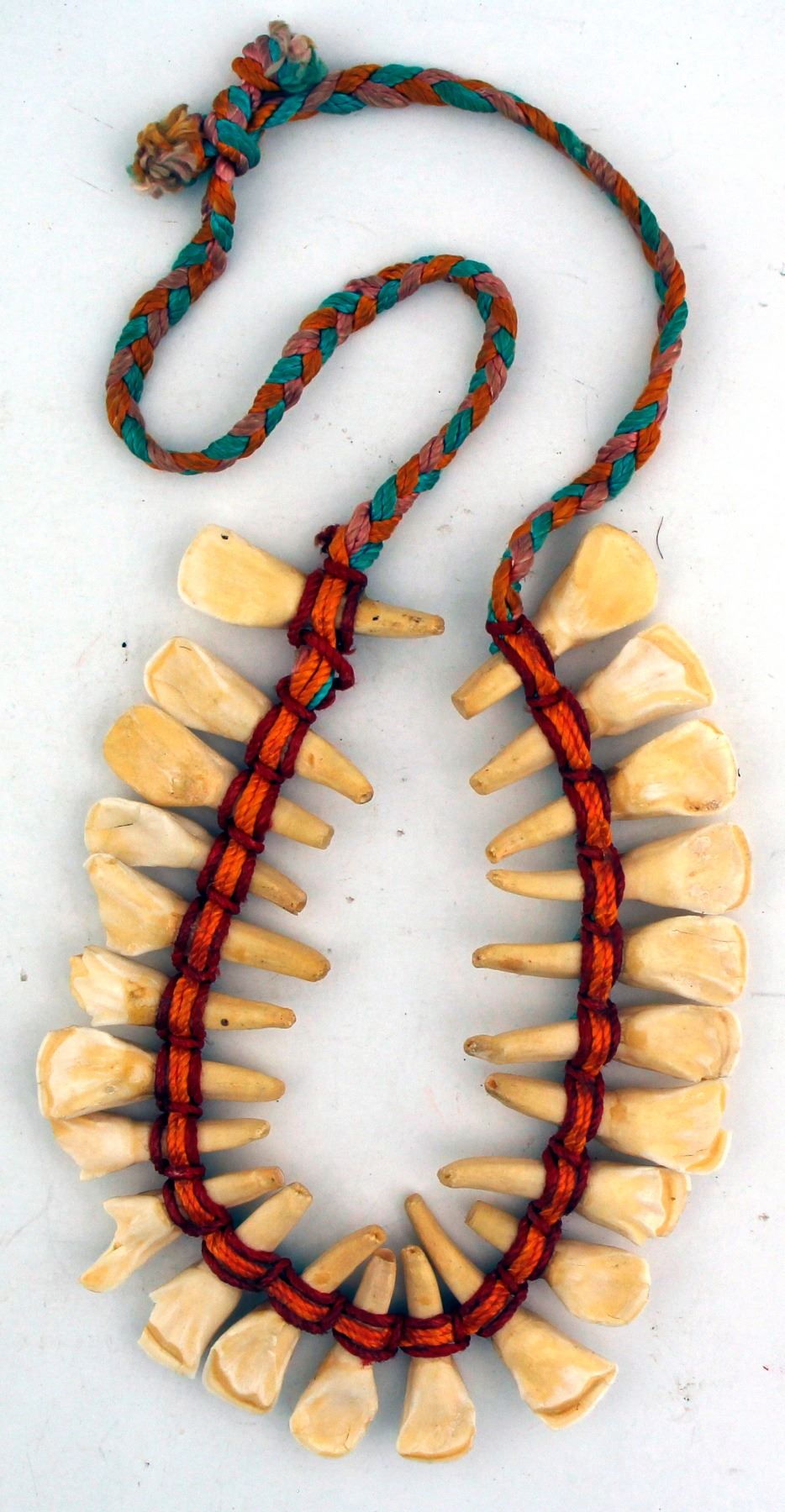 Horse tooth necklace Clearance