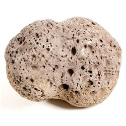 Western Basalt Sinker  (90739)