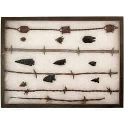 Projectile Points and Barbed Wires  (90264)