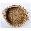 Image 2 : Pine Needle   (87567)