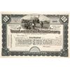 Image 1 : Tonopah and Goldfield Railroad Stock  (89825)