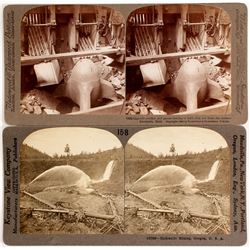 Mining Stereoviews (2)  (90302)