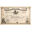 Image 1 : Cedar Tree Mining and Milling Company Stock  (77026)