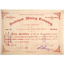 Bradshaw Mining Company Stock  (77030)