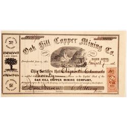 Oak Hill Copper Mining Company Stock  (90481)