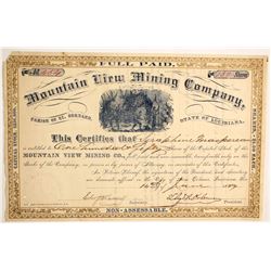 Mountain View Mining Company  (91032)