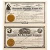 Image 1 : Greenwater Copper Co  (77227)