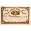 Image 1 : South Pacific Mining Company Stock  (88164)