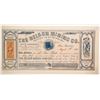Image 1 : Nelson Mining Company Stock  (88149)